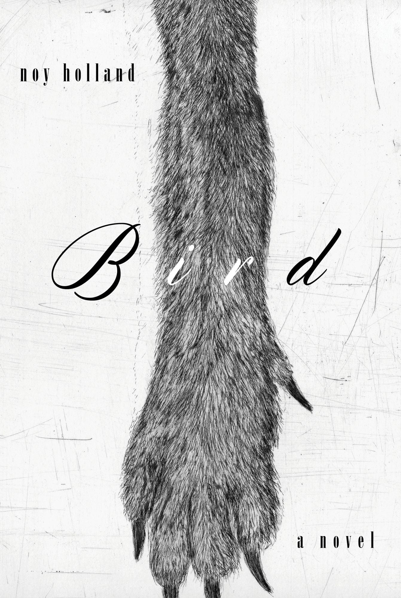 Bird: A Novel