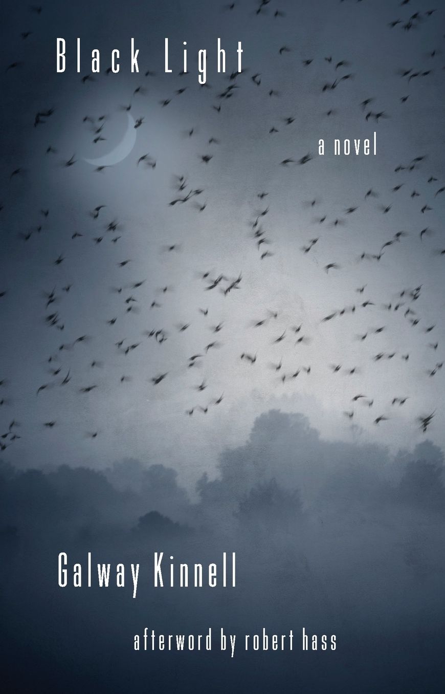 Black Light: A Novel
