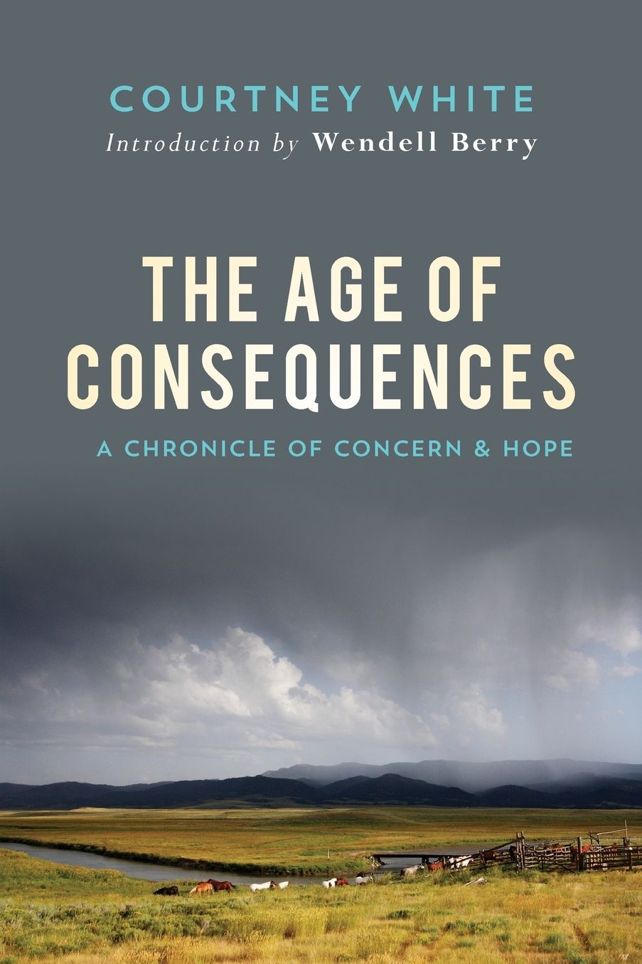 The Age of Consequences: A Chronicle of Concern and Hope