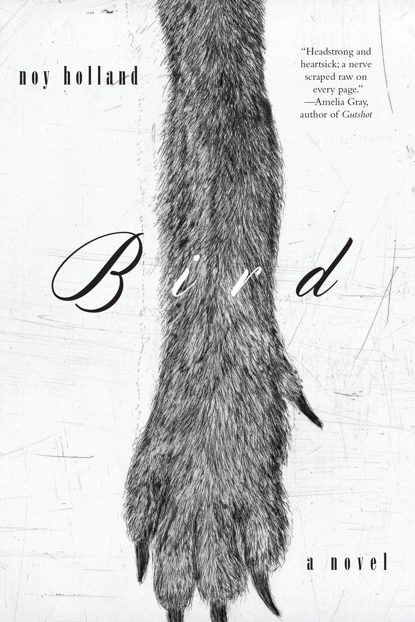 Bird: A Novel