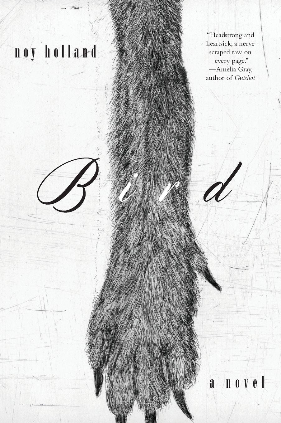 Bird: A Novel
