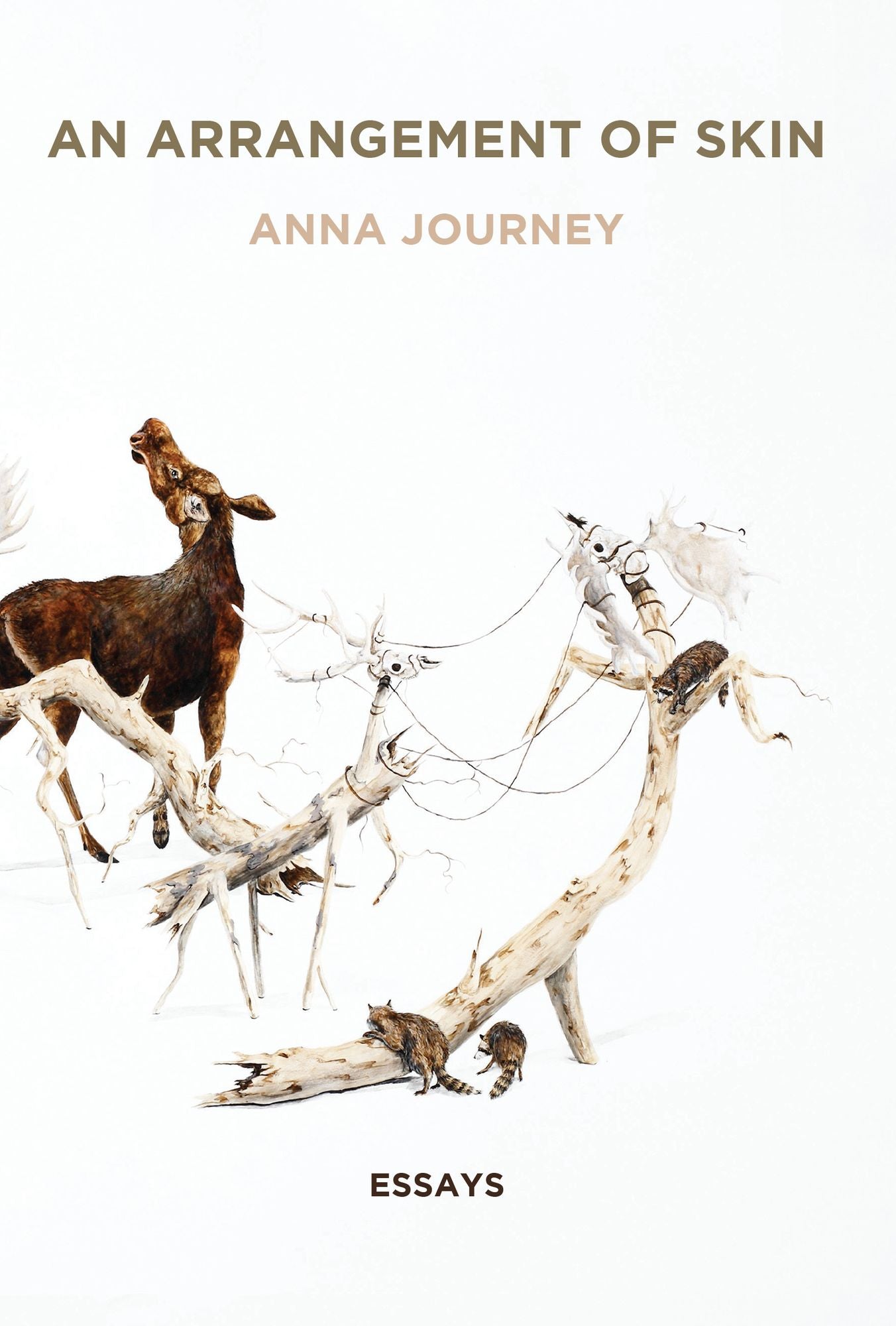 An Arrangement of Skin: Essays