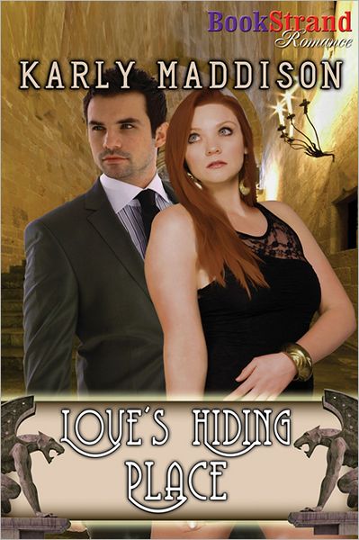 Love's Hiding Place (BookStrand Publishing Mainstream Romance)