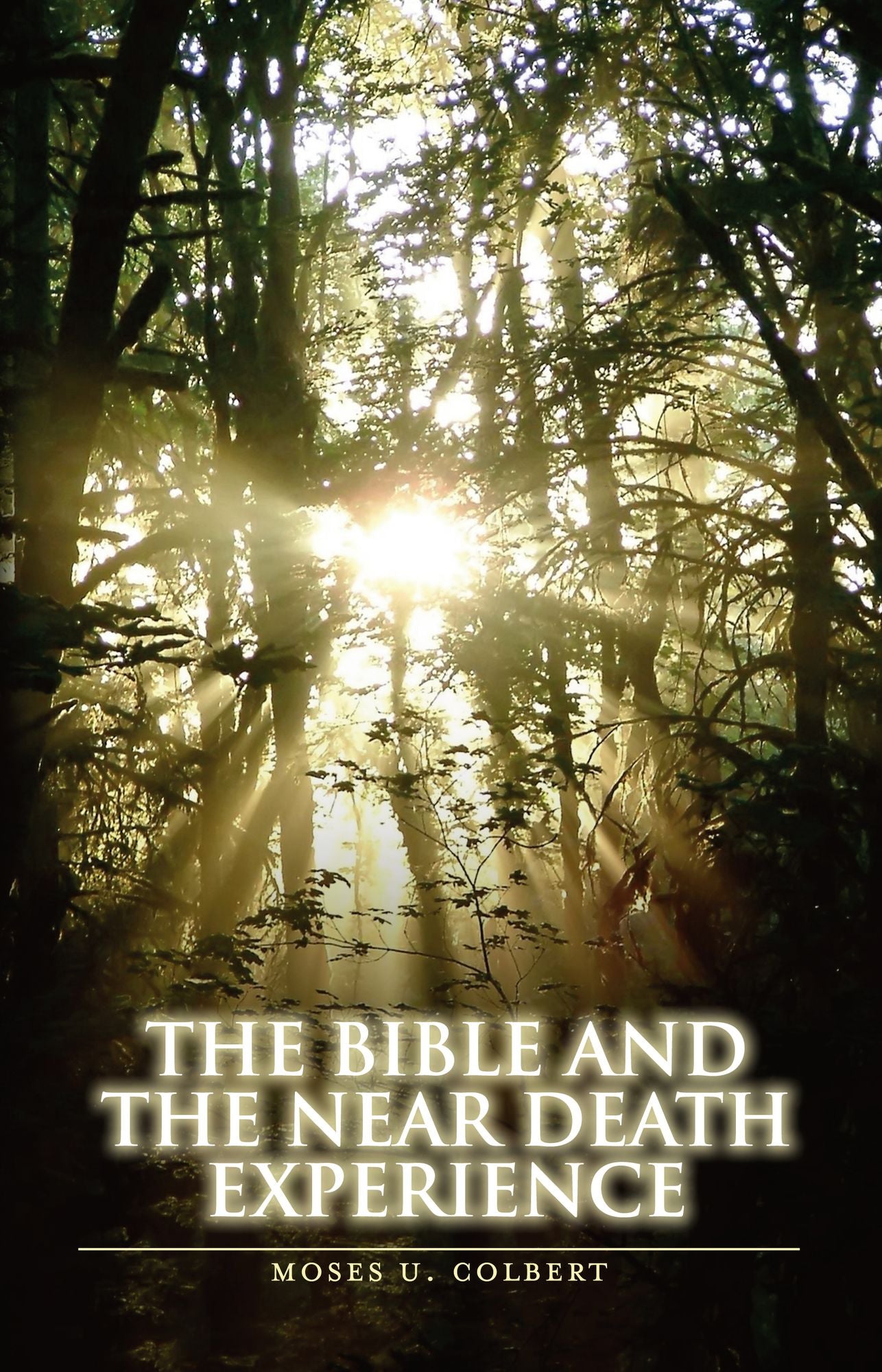 The Bible and the Near-Death Experience