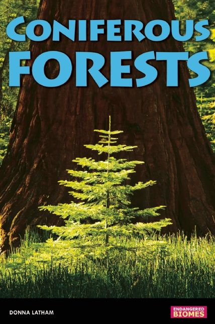 Coniferous Forests