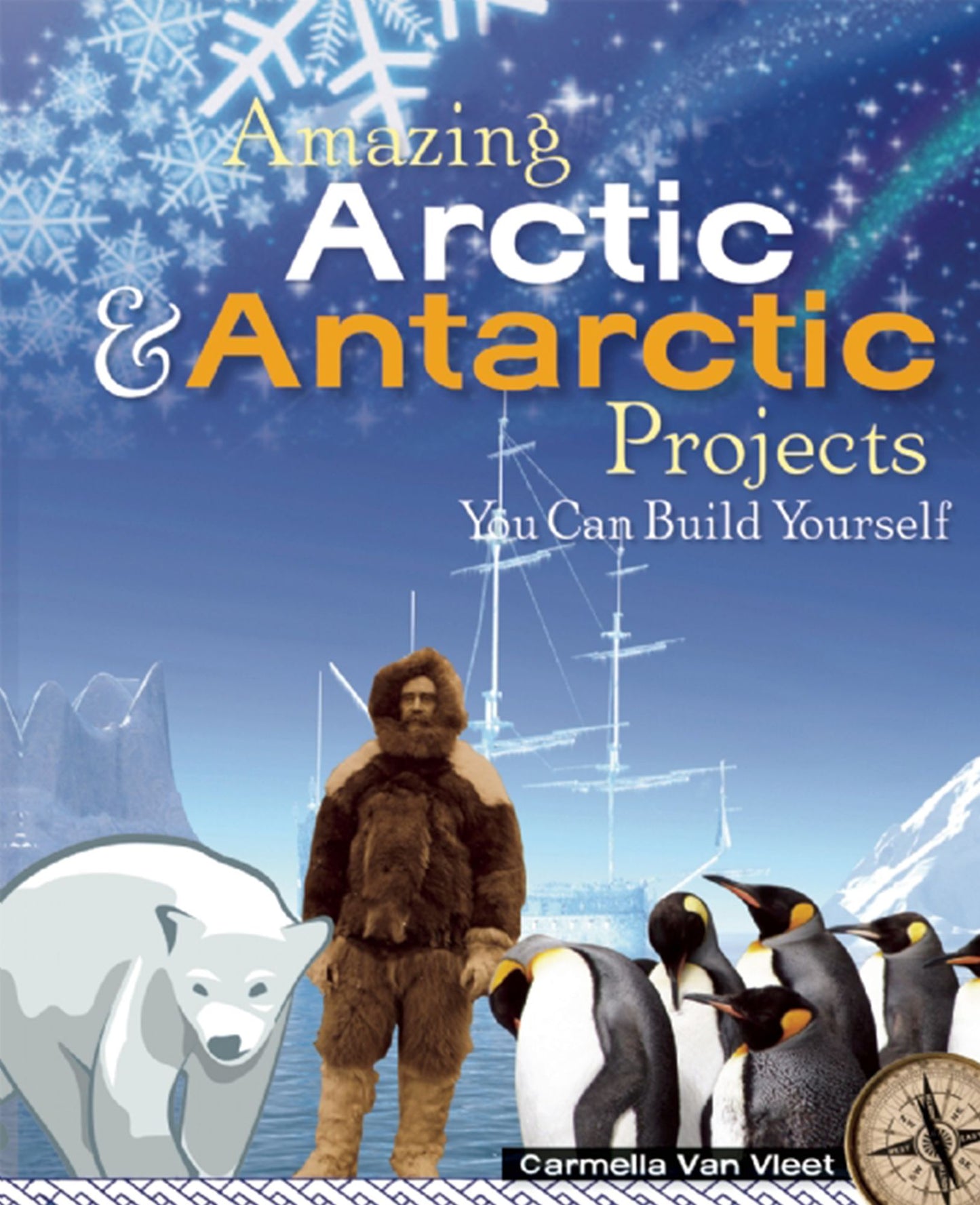 Amazing Arctic and Antarctic Projects You Can Build Yourself