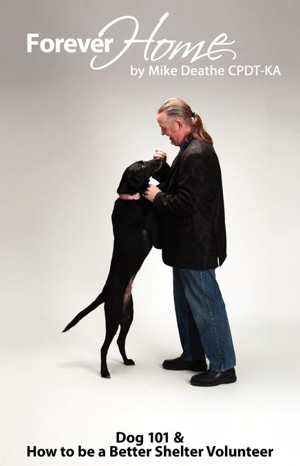 Forever Home...: Dog Training 101 & How To Be A Better Shelter Volunteer