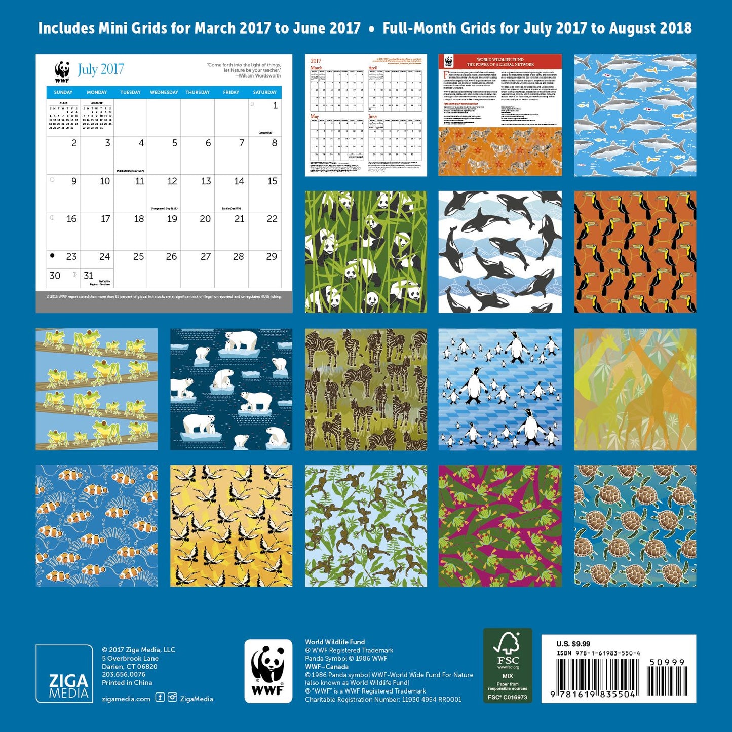 2018 Midyear WWF Turtle Patterns Wall Calendar
