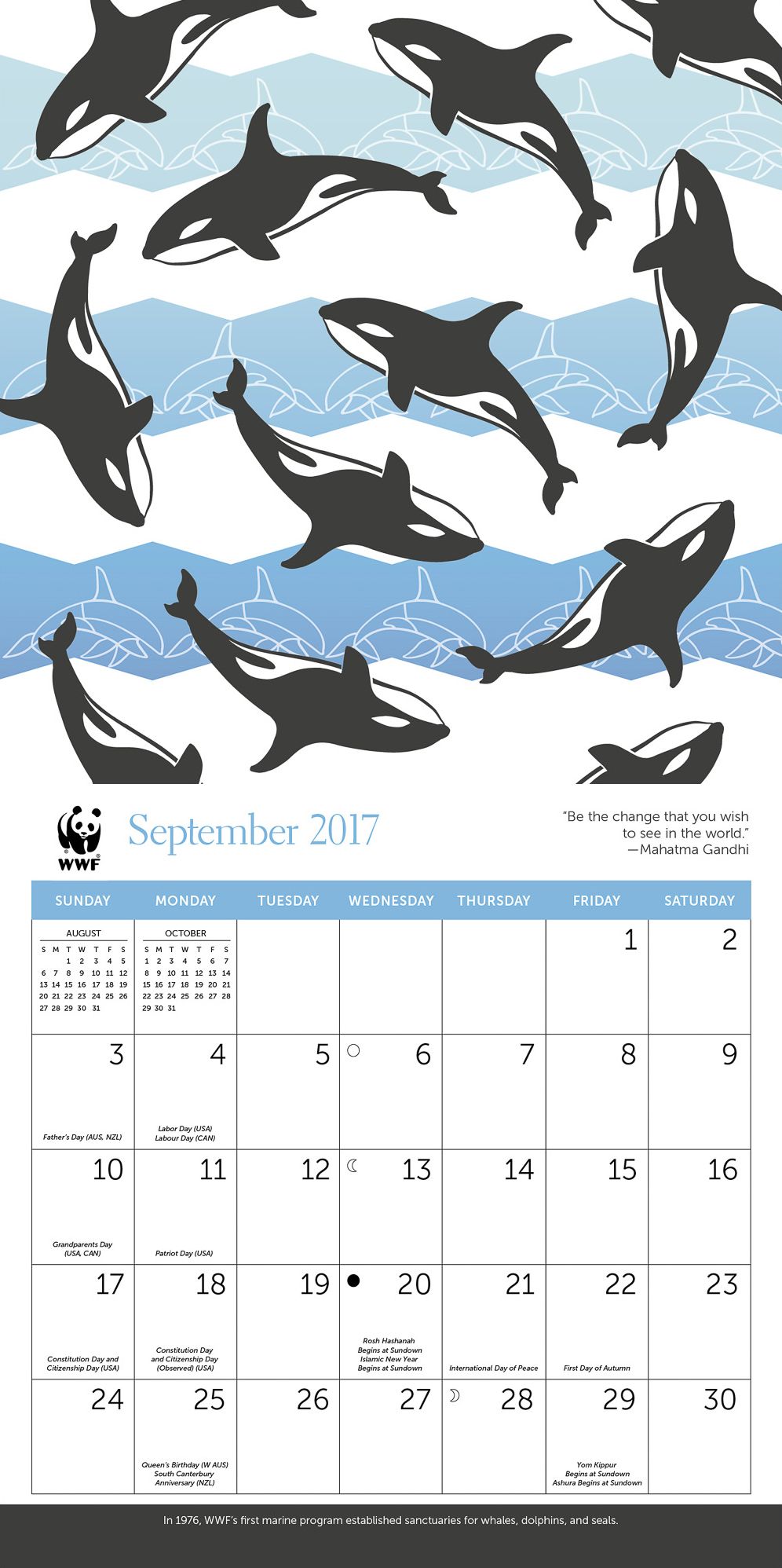 2018 Midyear WWF Turtle Patterns Wall Calendar