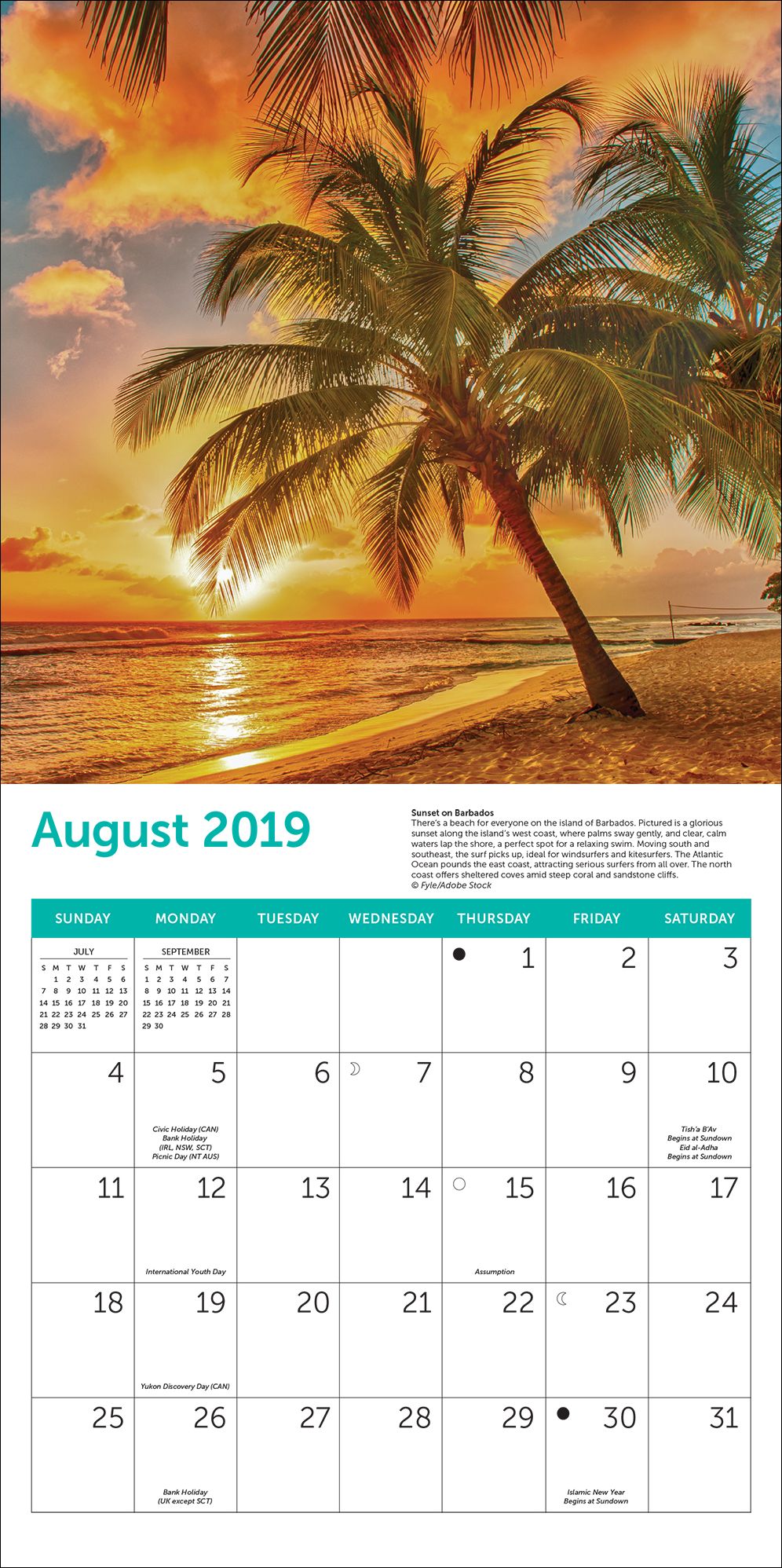 2019 Midyear Islands Wall Calendar