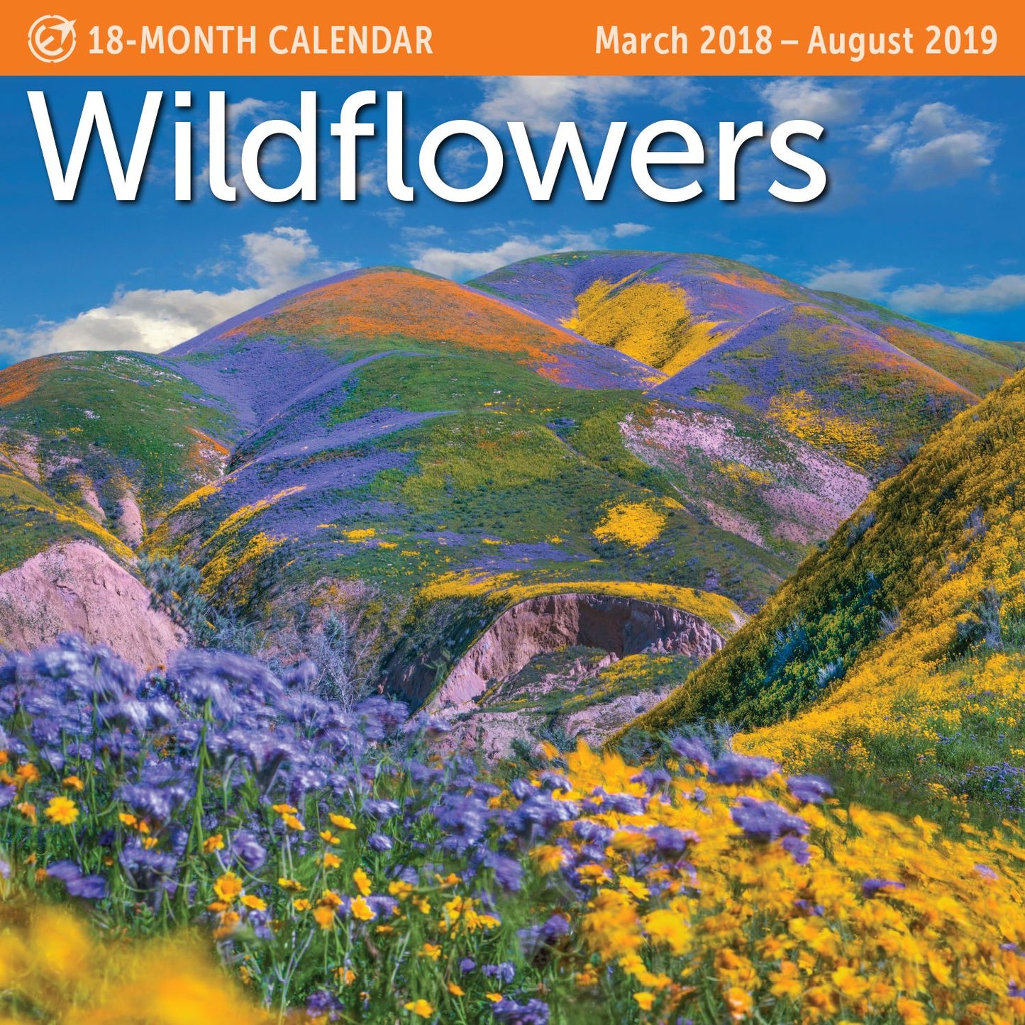 2019 Midyear Wildflowers Wall Calendar