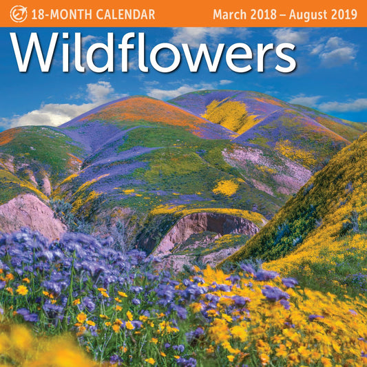 2019 Midyear Wildflowers Wall Calendar