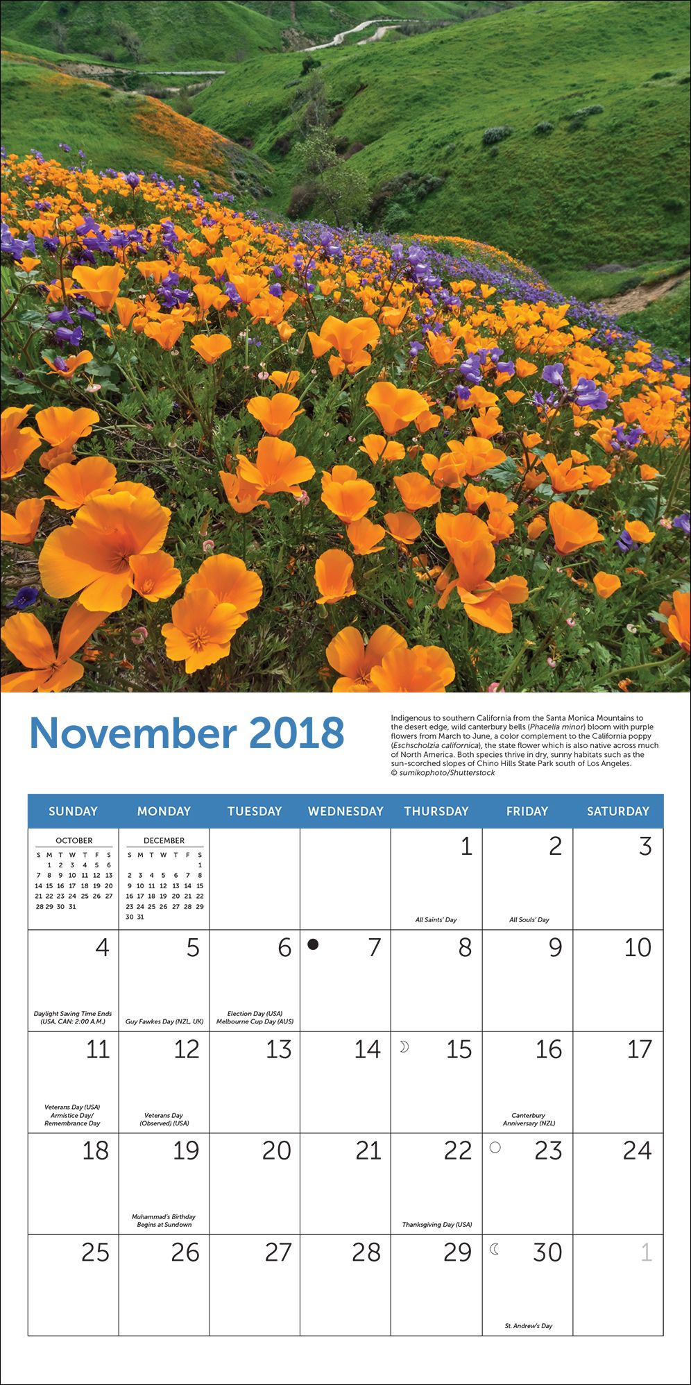 2019 Midyear Wildflowers Wall Calendar