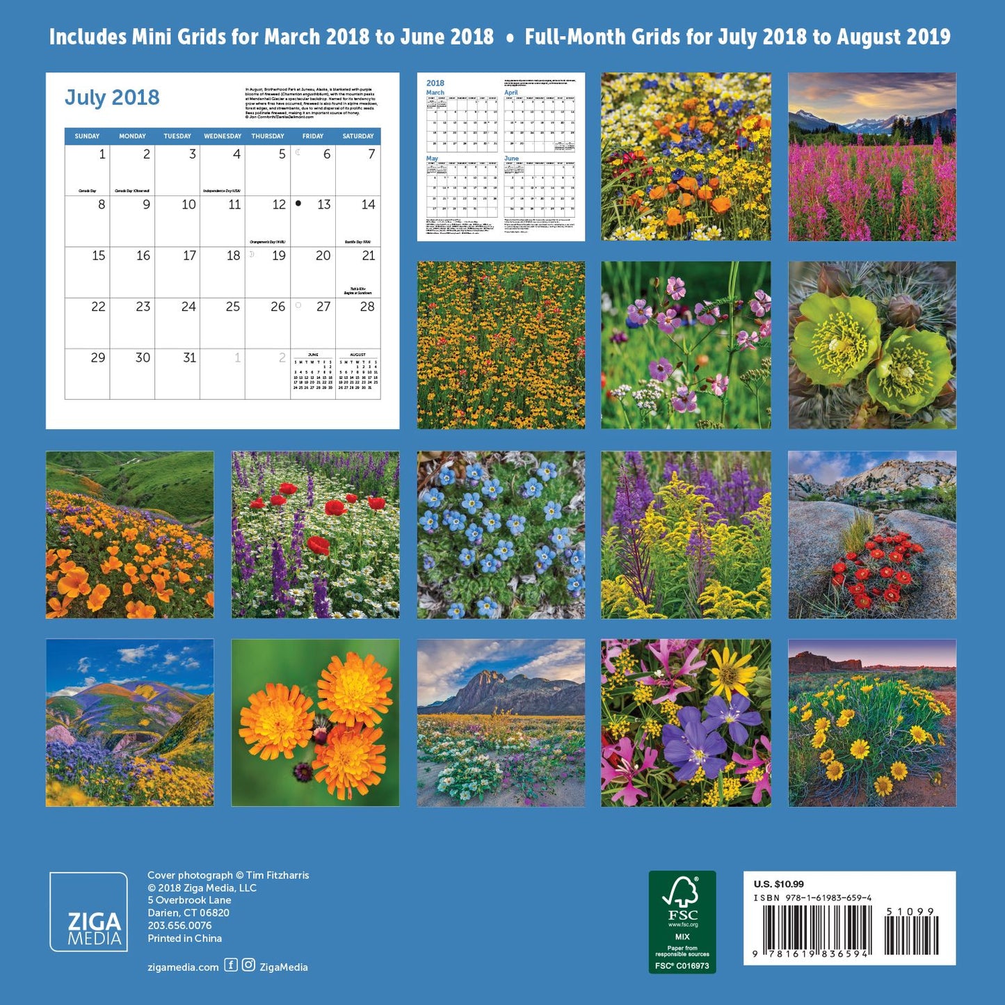 2019 Midyear Wildflowers Wall Calendar