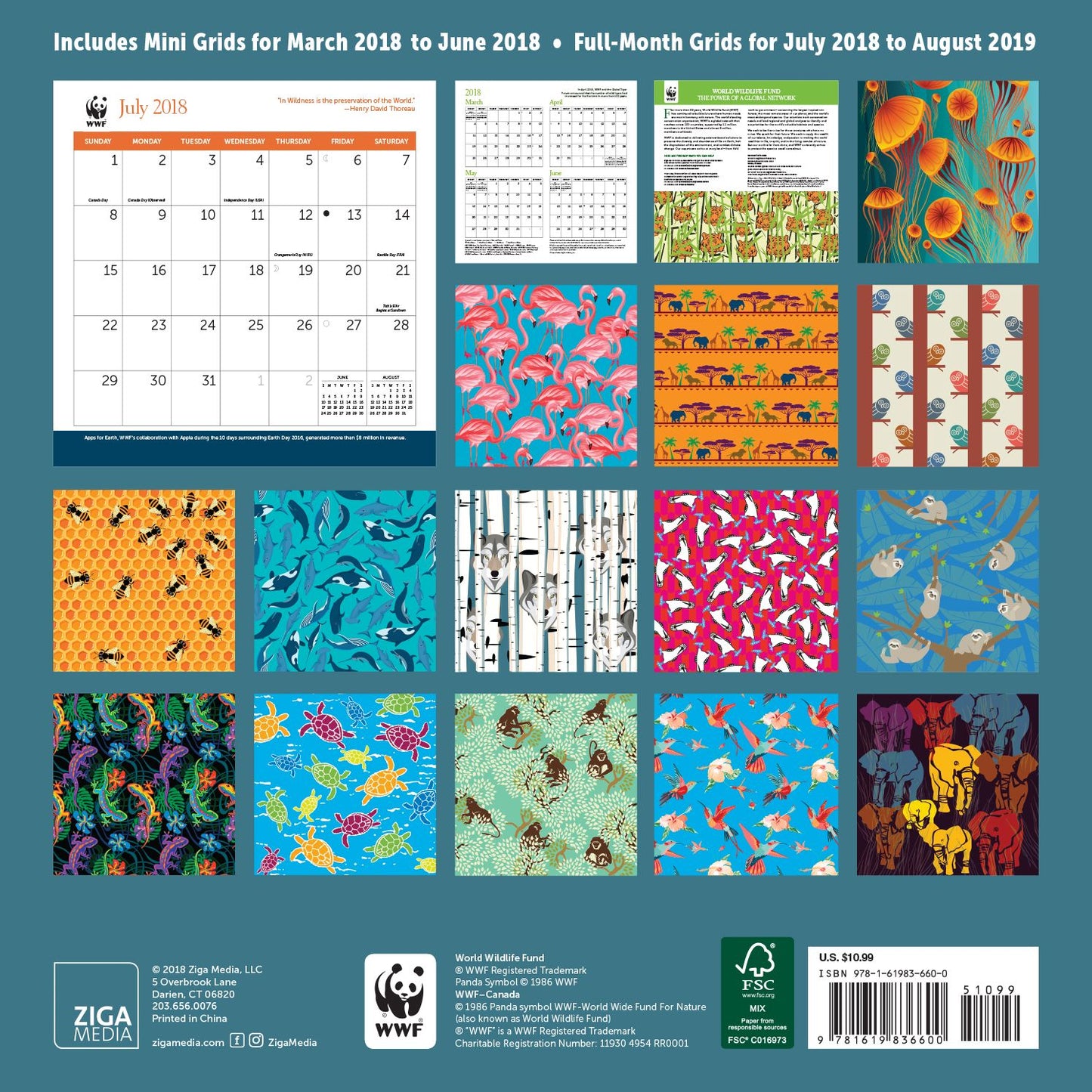 2019 Midyear WWF Patterns Wall Calendar