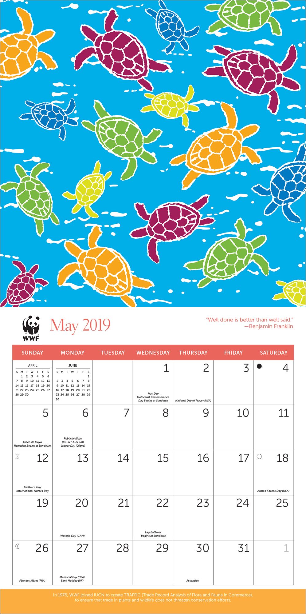 2019 Midyear WWF Patterns Wall Calendar