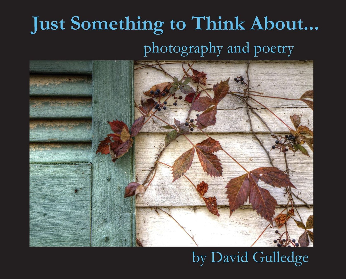 Just Something to Think about: Photography and Poetry