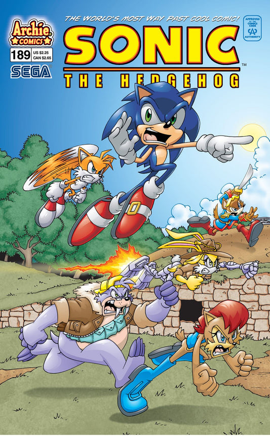 Sonic the Hedgehog #189