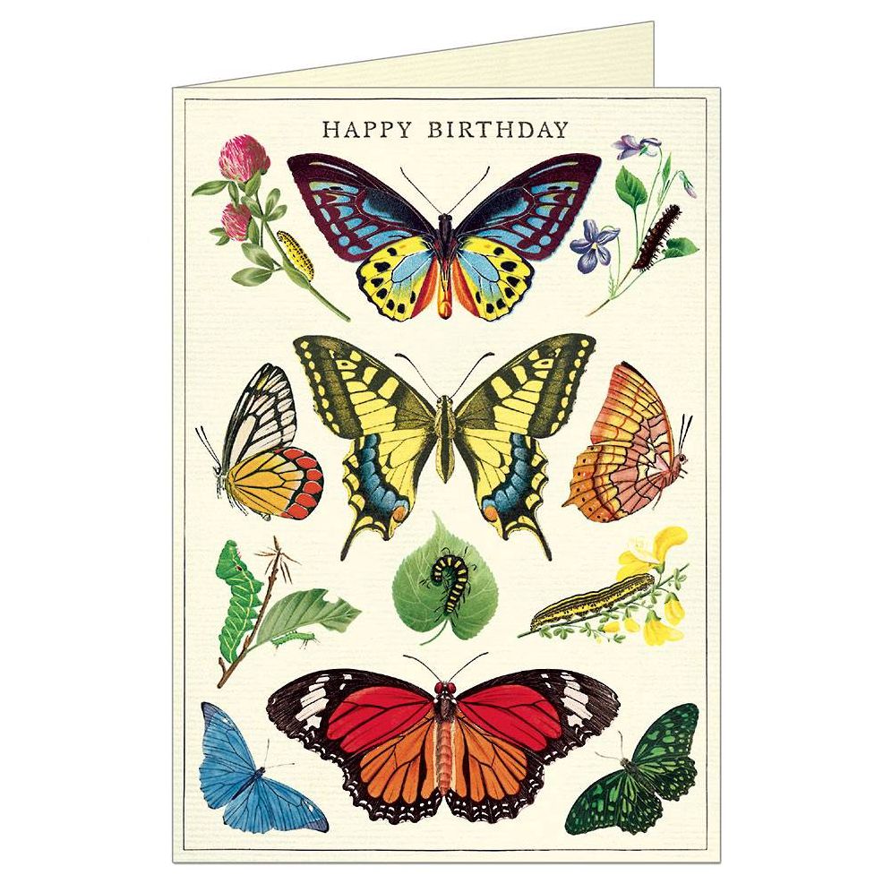 Butterflies Birthday Card