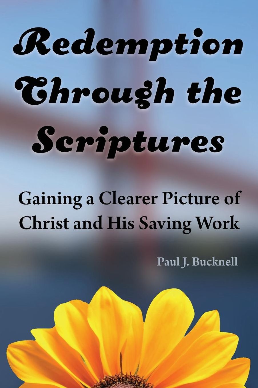 Redemption Through the Scriptures: Gaining a Clearer Picture of Christ and His Saving Work