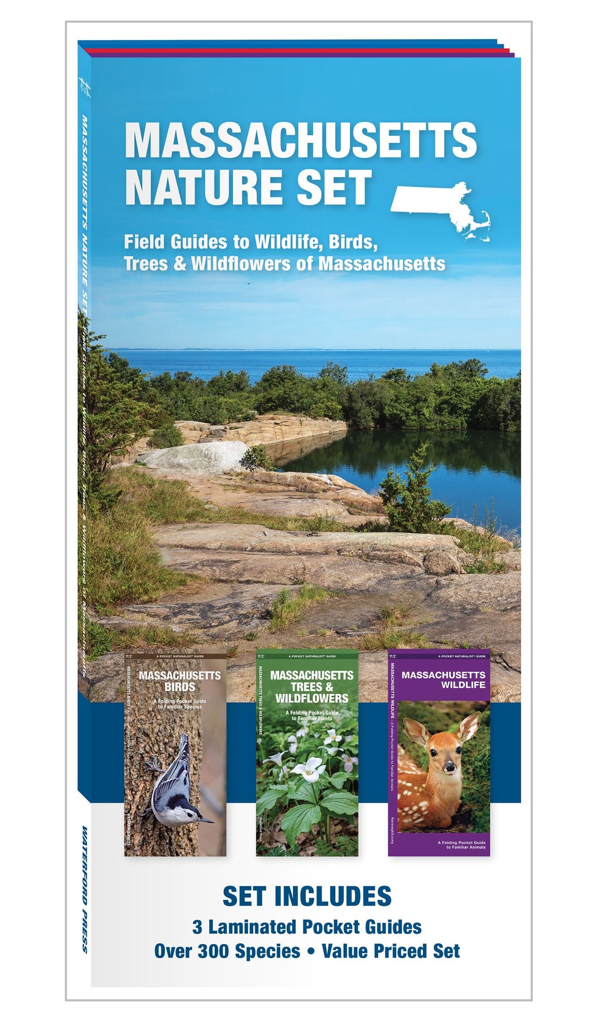 Massachusetts Nature Set: Field Guides to Wildlife, Birds, Trees & Wildflowers of Massachusetts