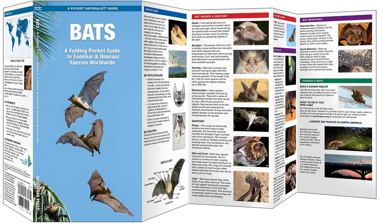 Waterford's Discovery Guide: Bats: A Folding Pocket Guide to the Status of Familiar Species