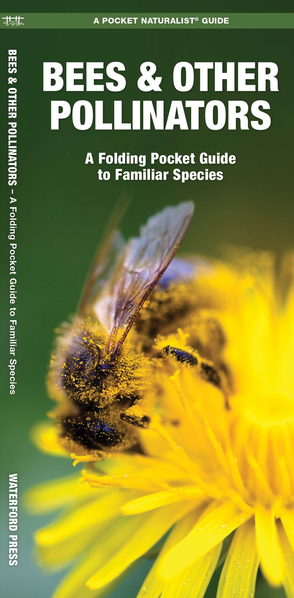 Waterford's Discovery Guide: Bees and Pollinators: A Folding Pocket Guide to the Status of Familiar Species