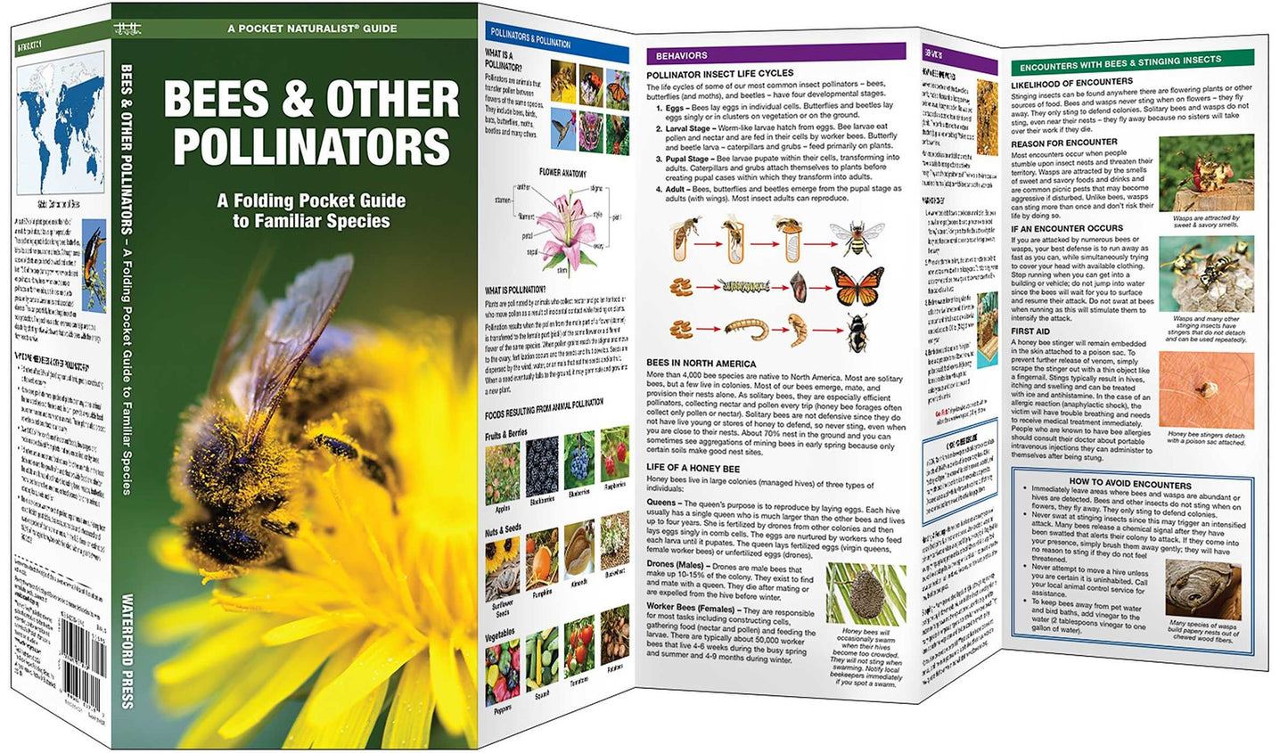 Waterford's Discovery Guide: Bees and Pollinators: A Folding Pocket Guide to the Status of Familiar Species