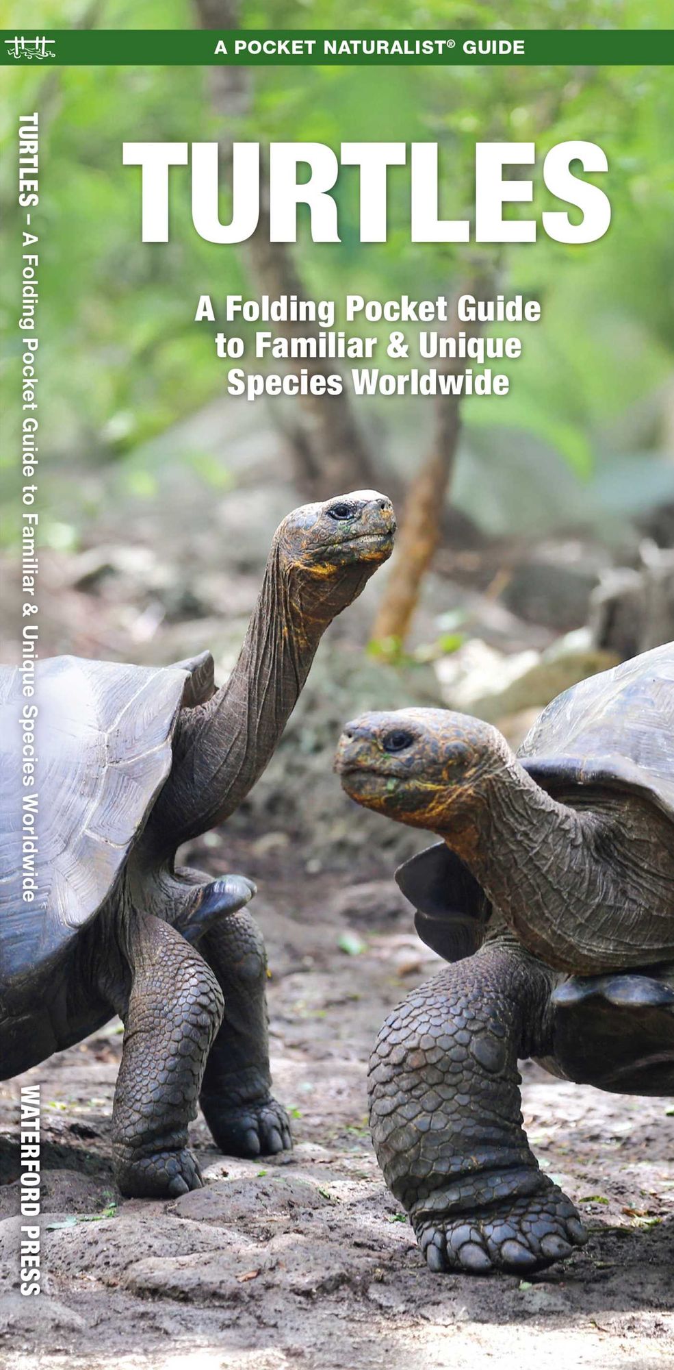 Waterford's Discovery Guide: Turtles: A Folding Pocket Guide to the Status of Familiar Species