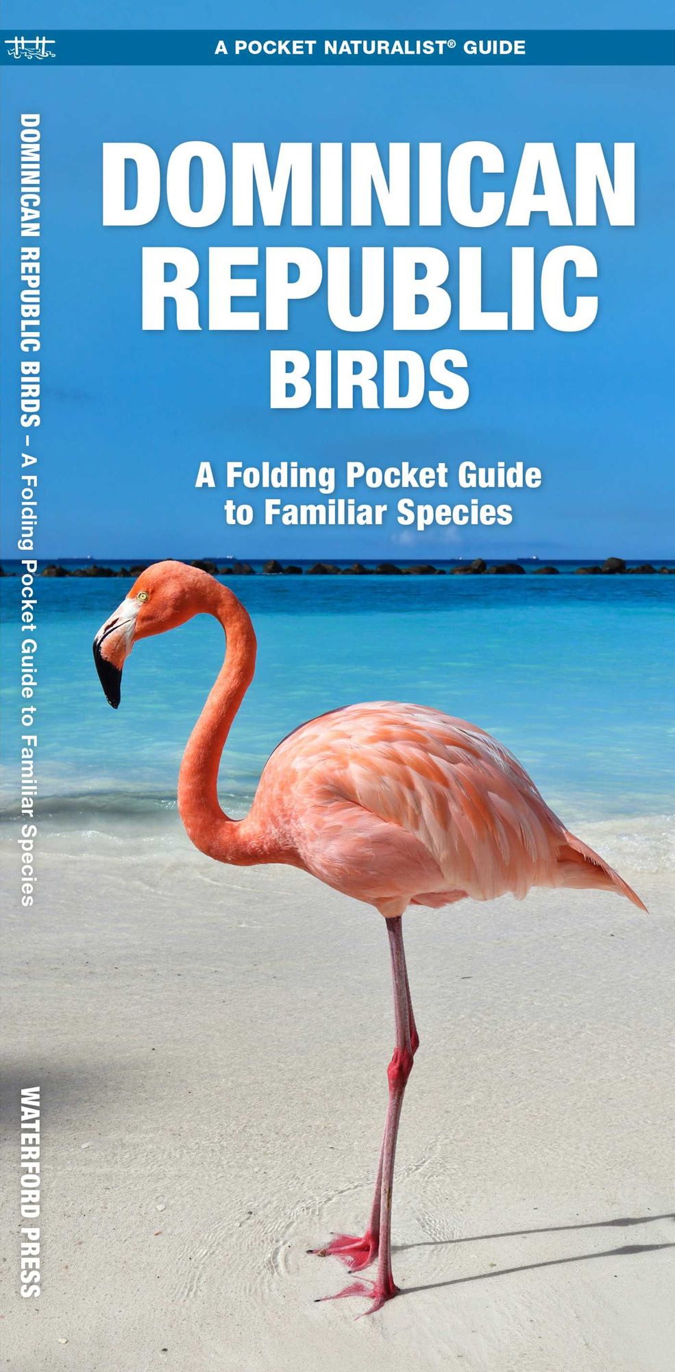 Dominican Republic Birds: A Folding Pocket Guide to Familiar Species