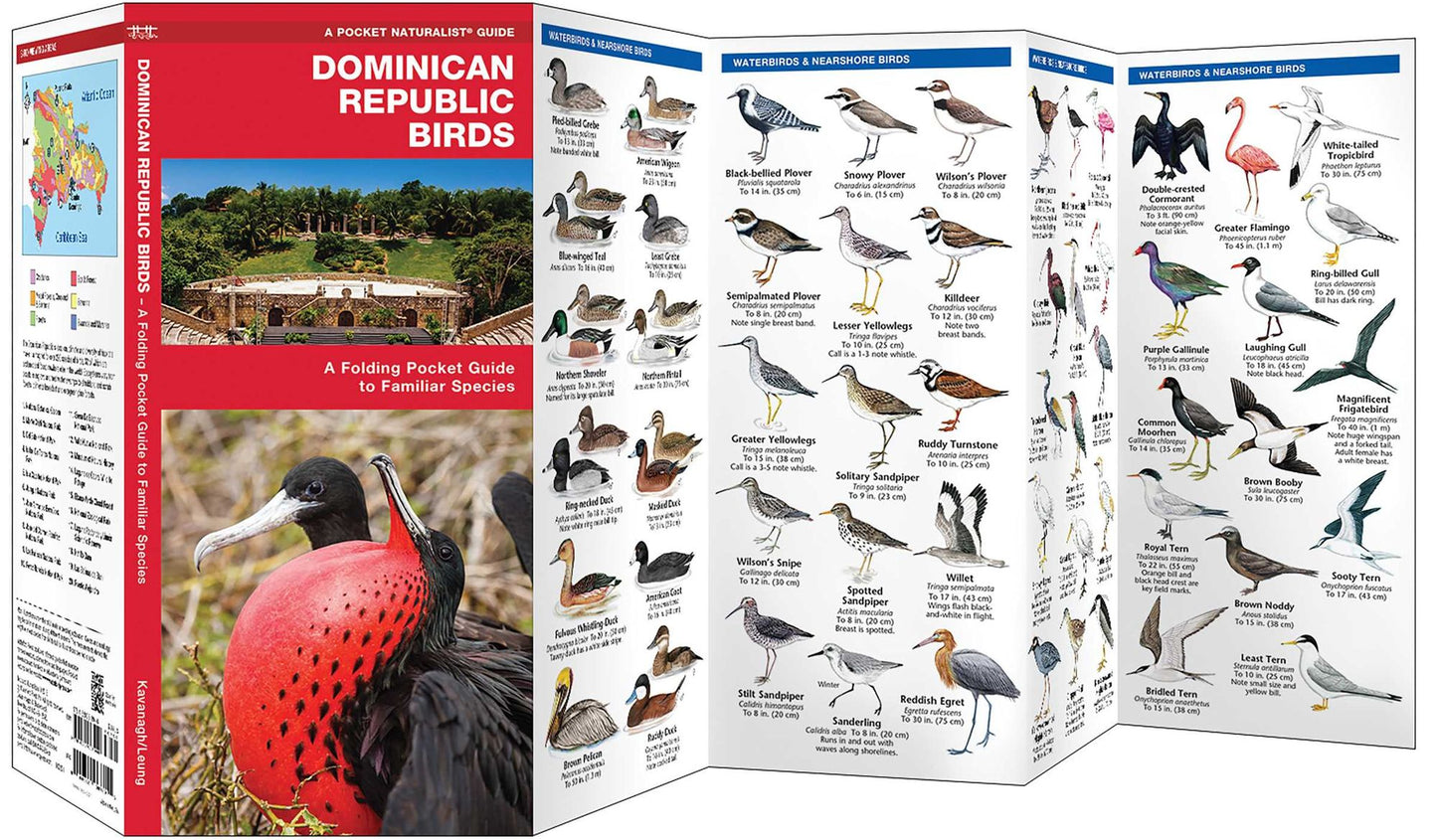 Dominican Republic Birds: A Folding Pocket Guide to Familiar Species