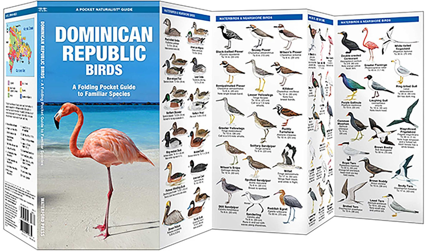 Dominican Republic Birds: A Folding Pocket Guide to Familiar Species