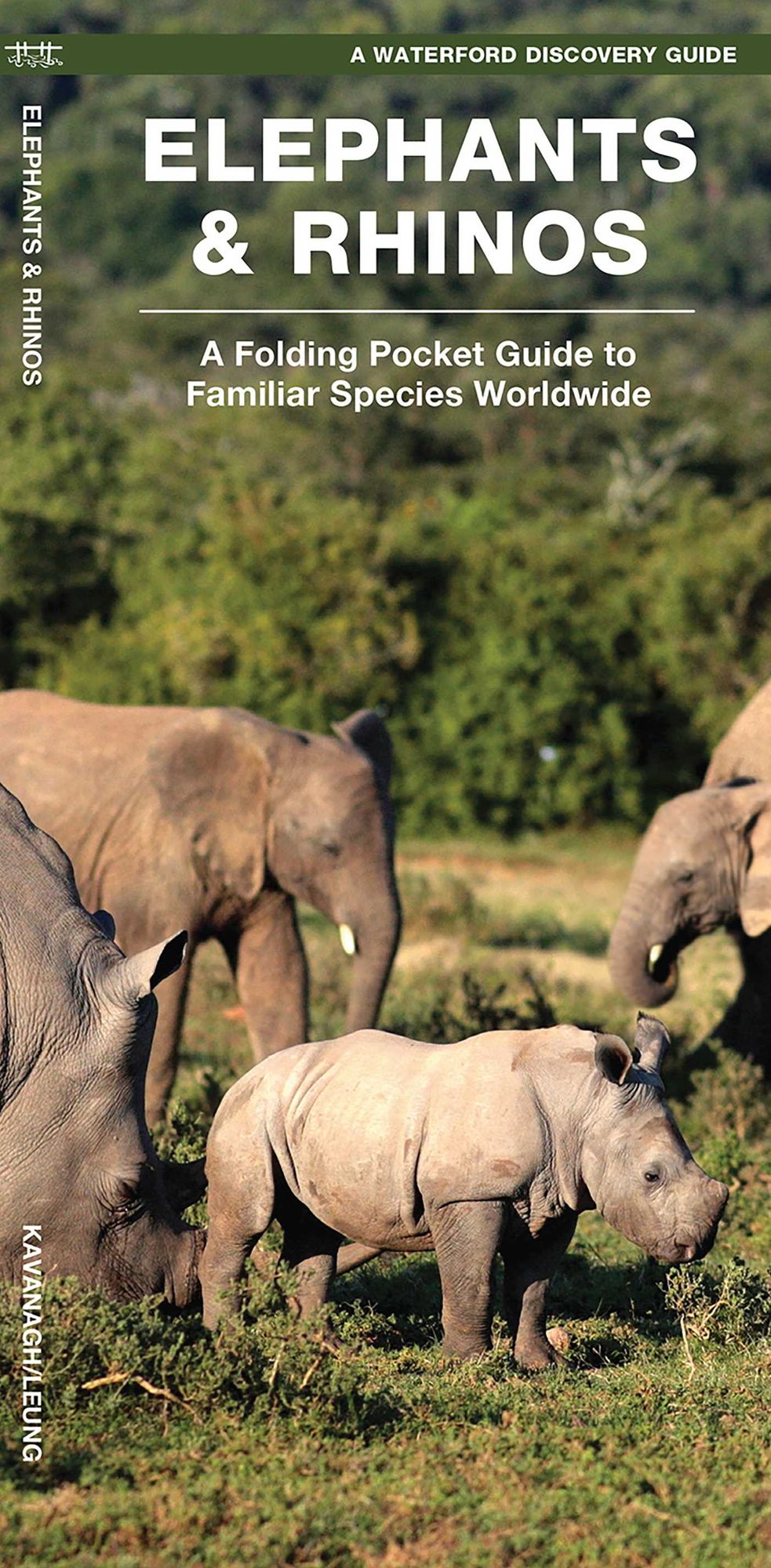 Elephants & Rhinos: A Folding Pocket Guide to the Status of Familiar Species