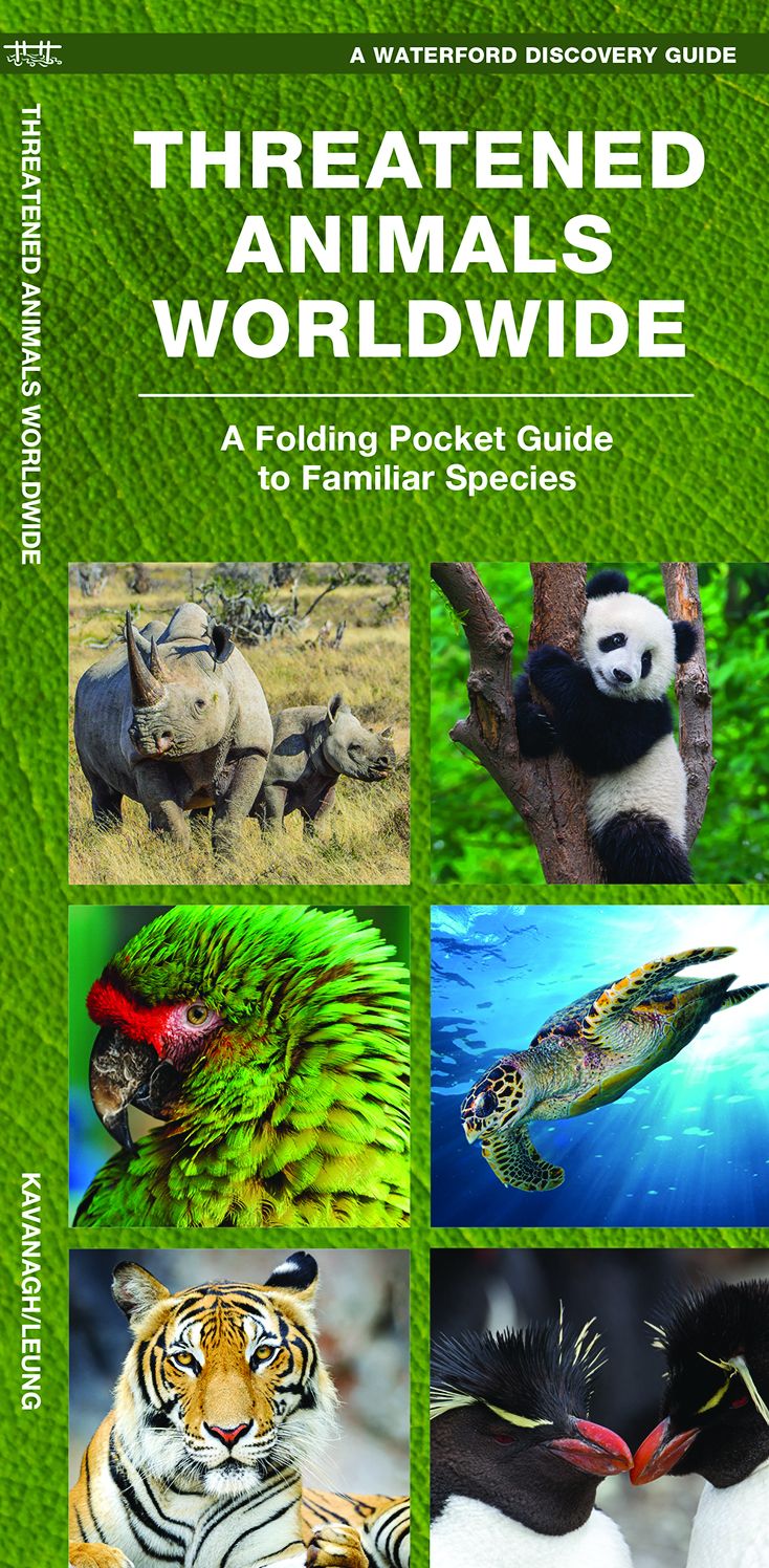 Threatened Animals Worldwide: A Folding Pocket Guide to the Status of Familiar Species