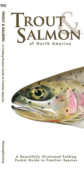 Trout & Salmon: A Folding Pocket Guide to North American Salmonids