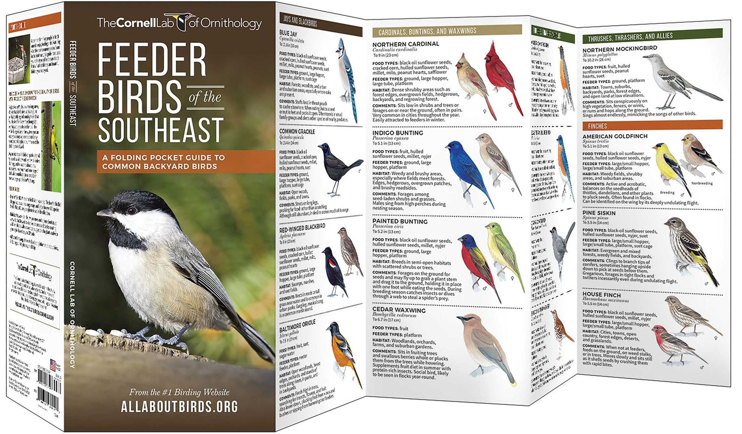 Feeder Birds of the Southeast: A Folding Pocket Guide to Common Backyard Birds