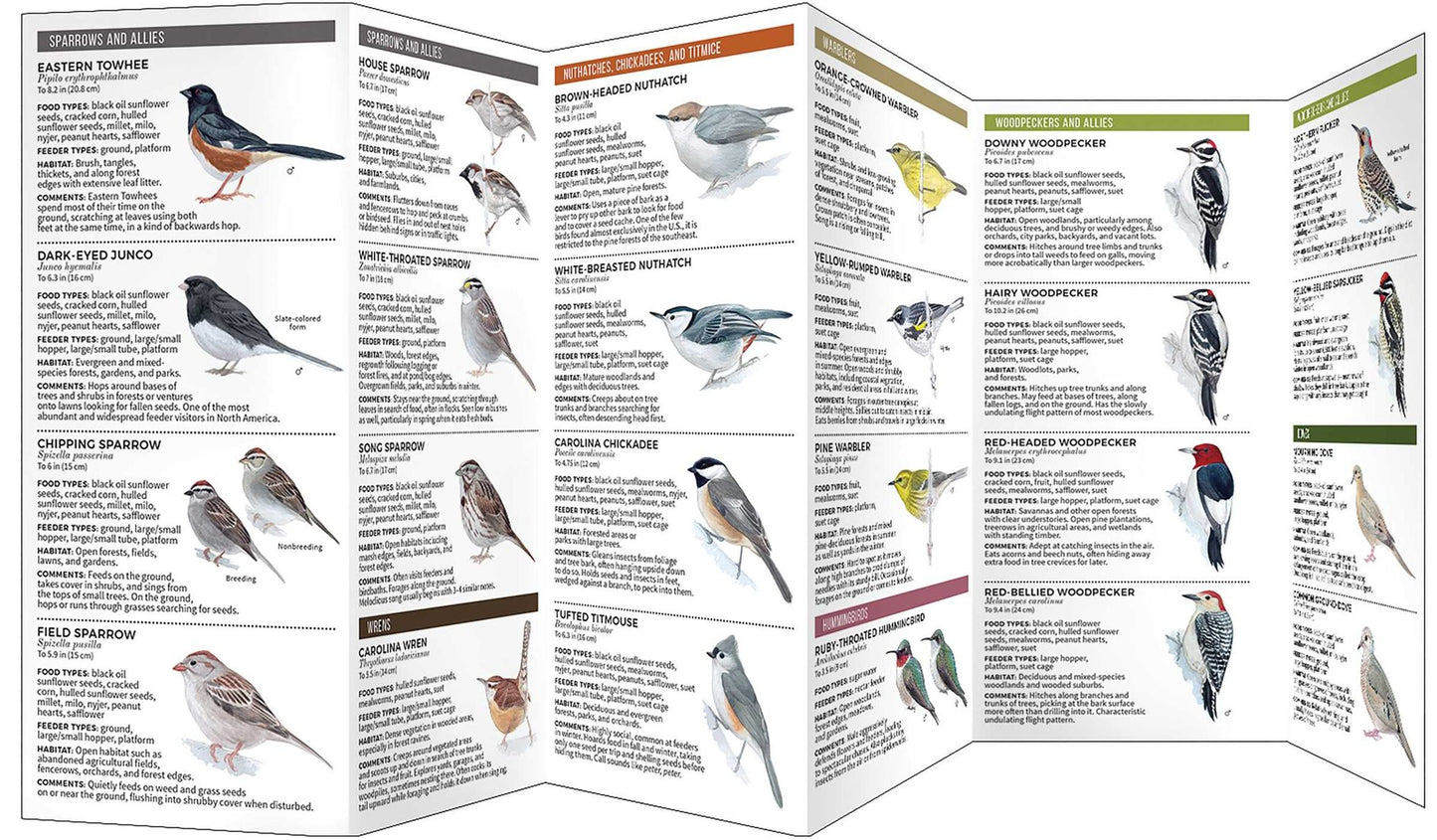 Feeder Birds of the Southeast: A Folding Pocket Guide to Common Backyard Birds