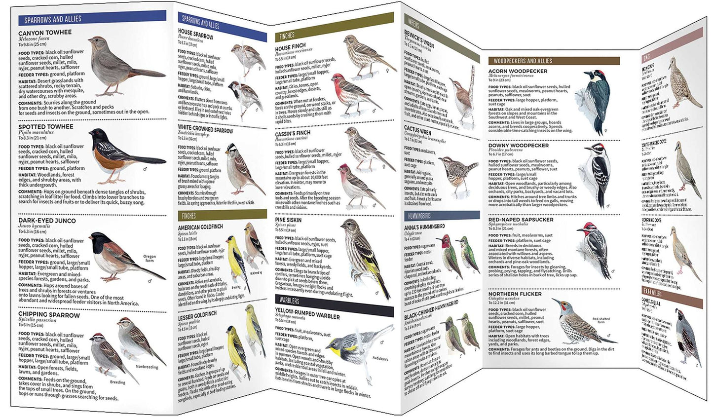 Feeder Birds of the Southwest: A Folding Pocket Guide to Common Backyard Birds