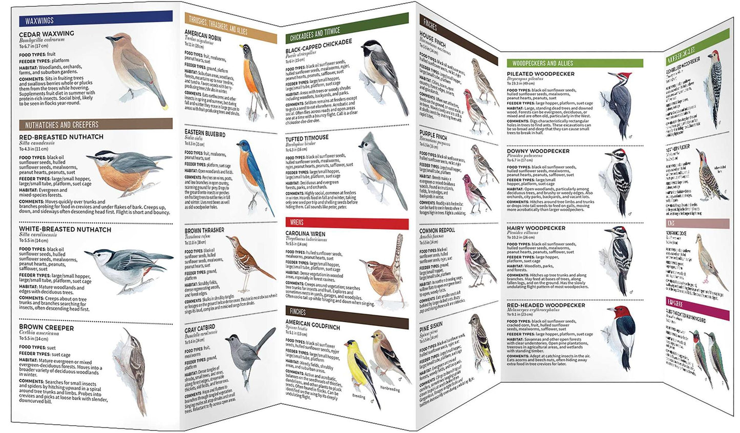 Feeder Birds of the Midwest: A Folding Pocket Guide to Common Backyard Birds