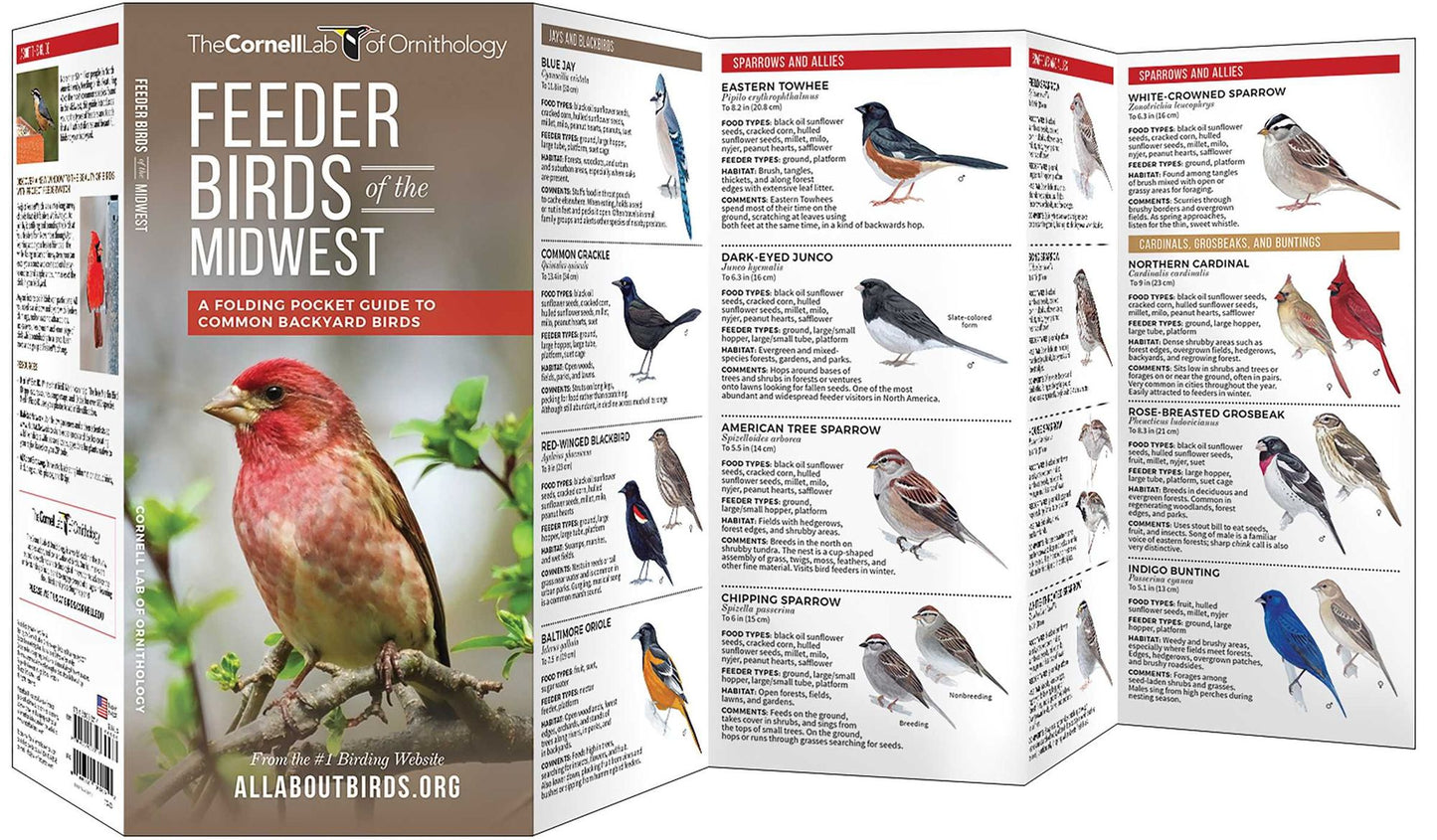 Feeder Birds of the Midwest: A Folding Pocket Guide to Common Backyard Birds
