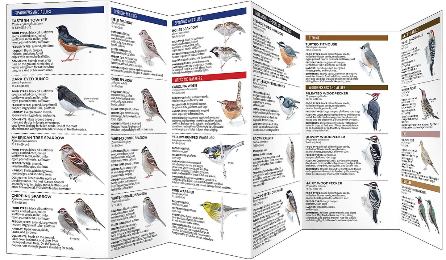 Feeder Birds of the Northeast: A Folding Pocket Guide to Common Backyard Birds