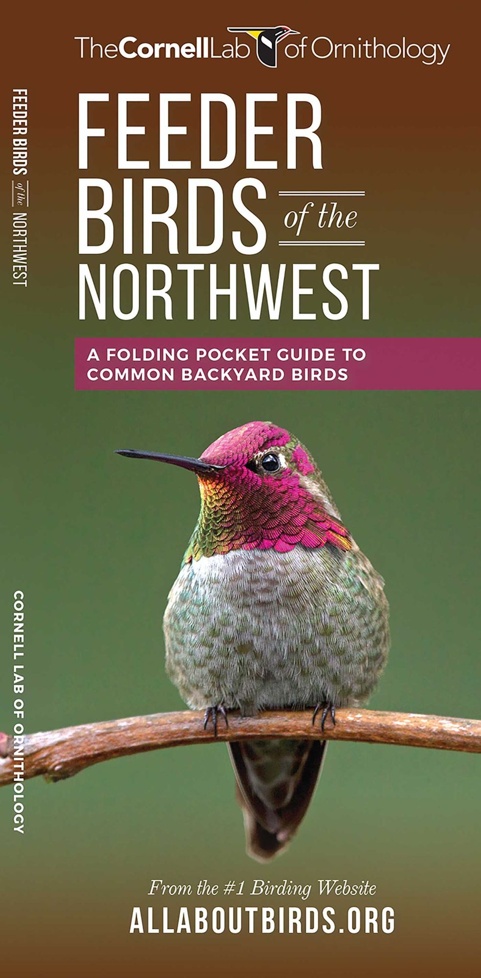Feeder Birds of the Northwest: A Folding Pocket Guide to Common Backyard Birds