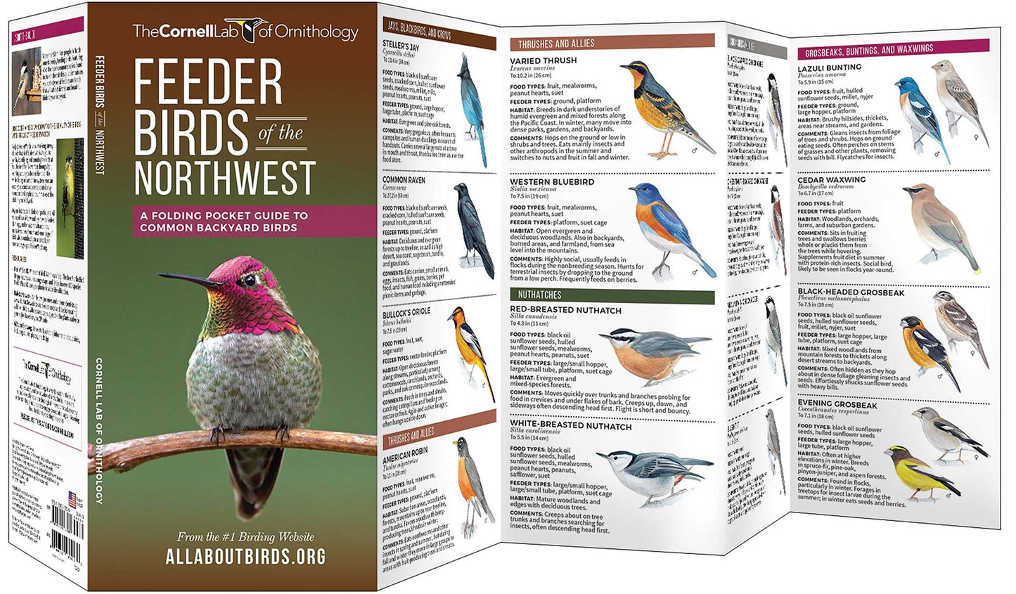 Feeder Birds of the Northwest: A Folding Pocket Guide to Common Backyard Birds