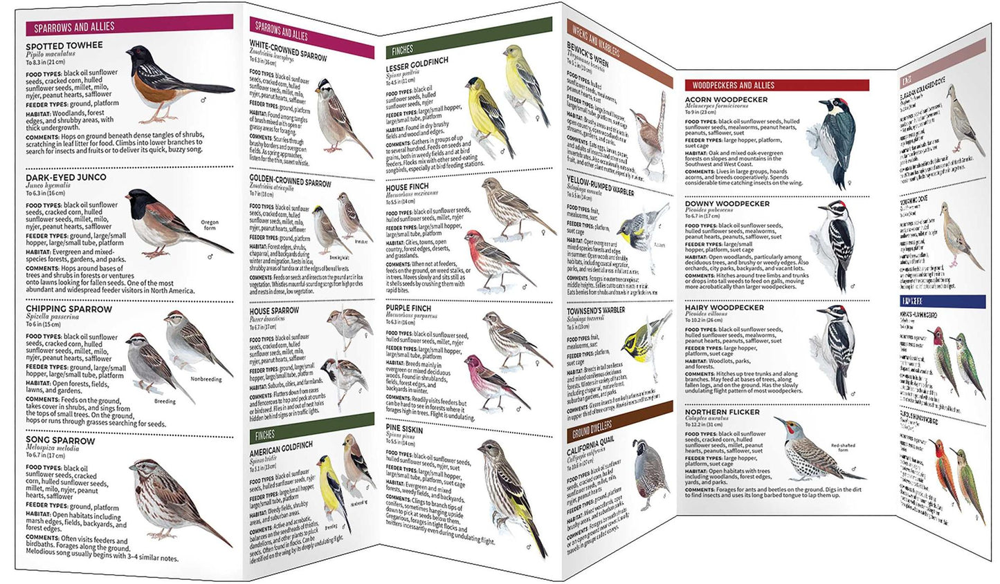 Feeder Birds of the Northwest: A Folding Pocket Guide to Common Backyard Birds
