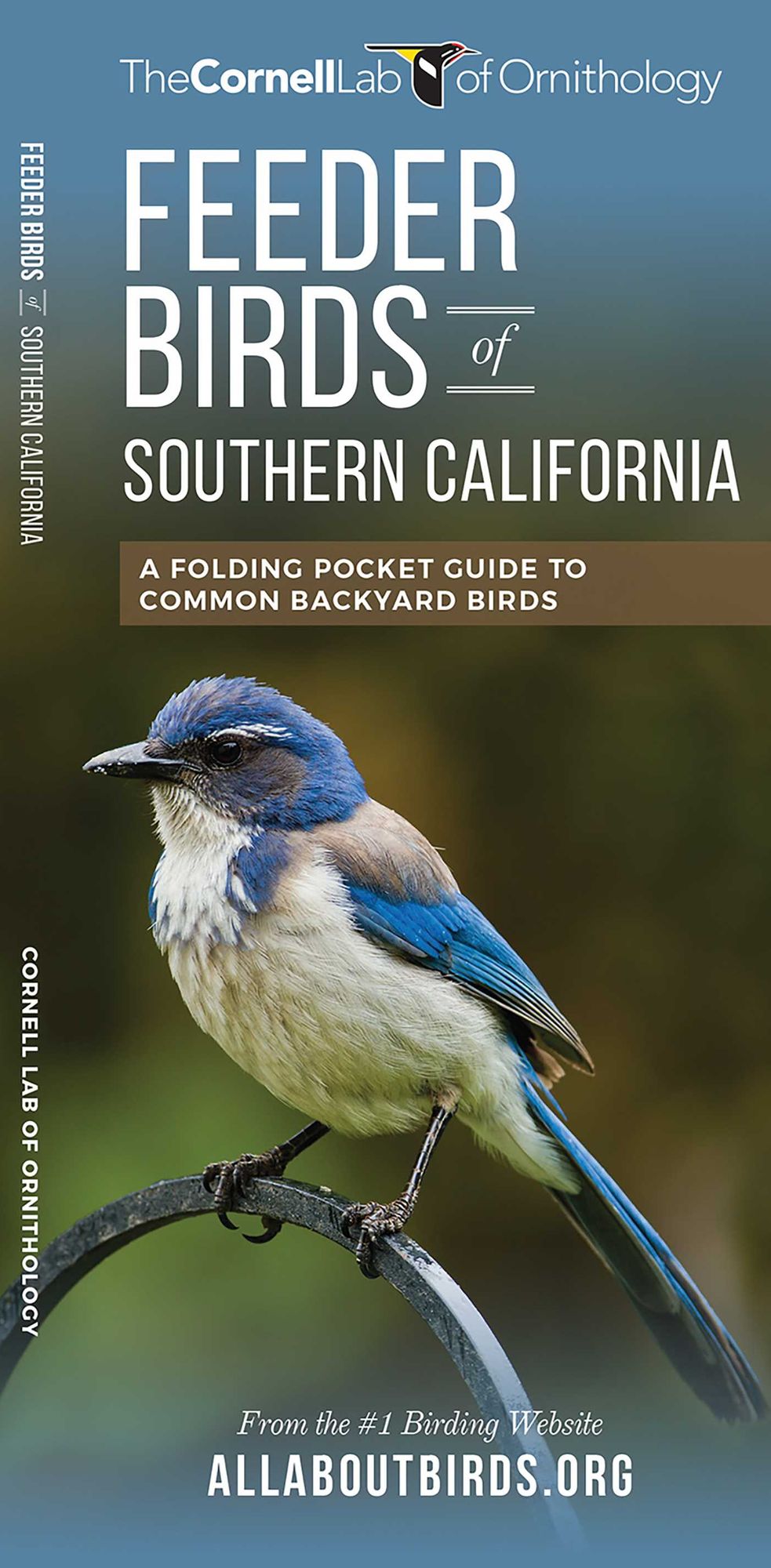 Feeder Birds of Southern California: A Folding Pocket Guide to Common Backyard Birds