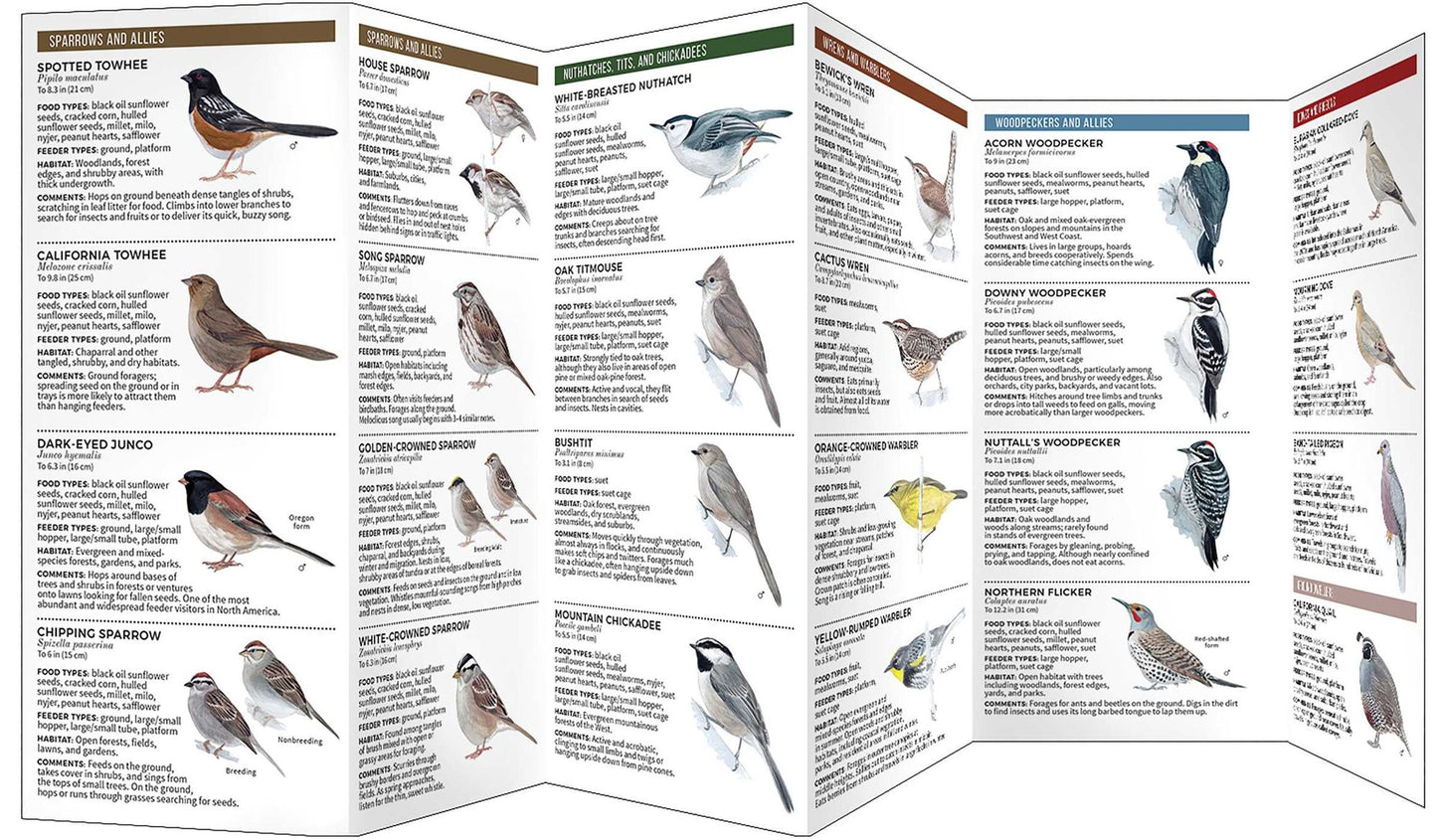 Feeder Birds of Southern California: A Folding Pocket Guide to Common Backyard Birds