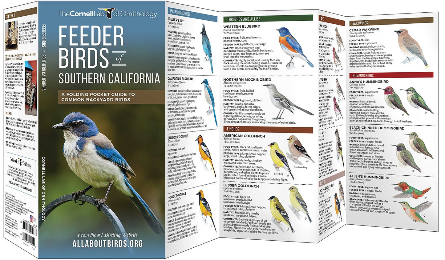 Feeder Birds of Southern California: A Folding Pocket Guide to Common Backyard Birds