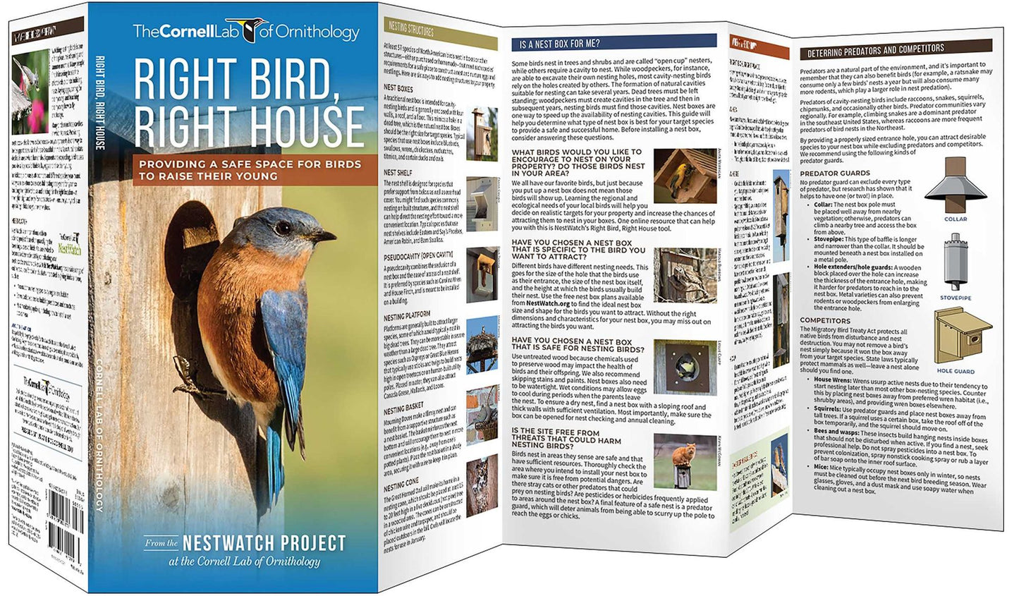 Right Bird, Right House: Providing a Safe Space for Birds to Raise Their Young