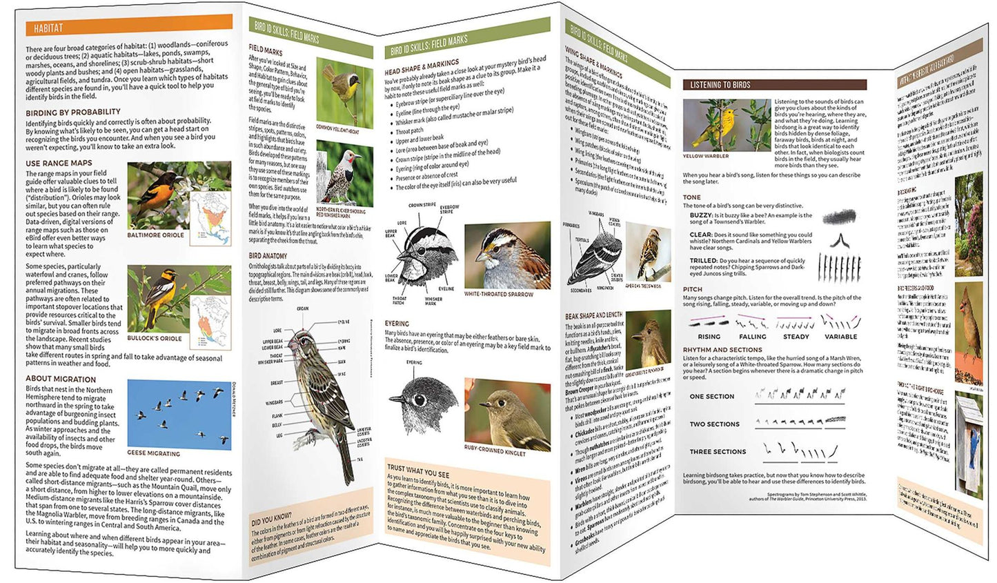 Birding 101: A Folding Pocket Guide for Beginning Birders