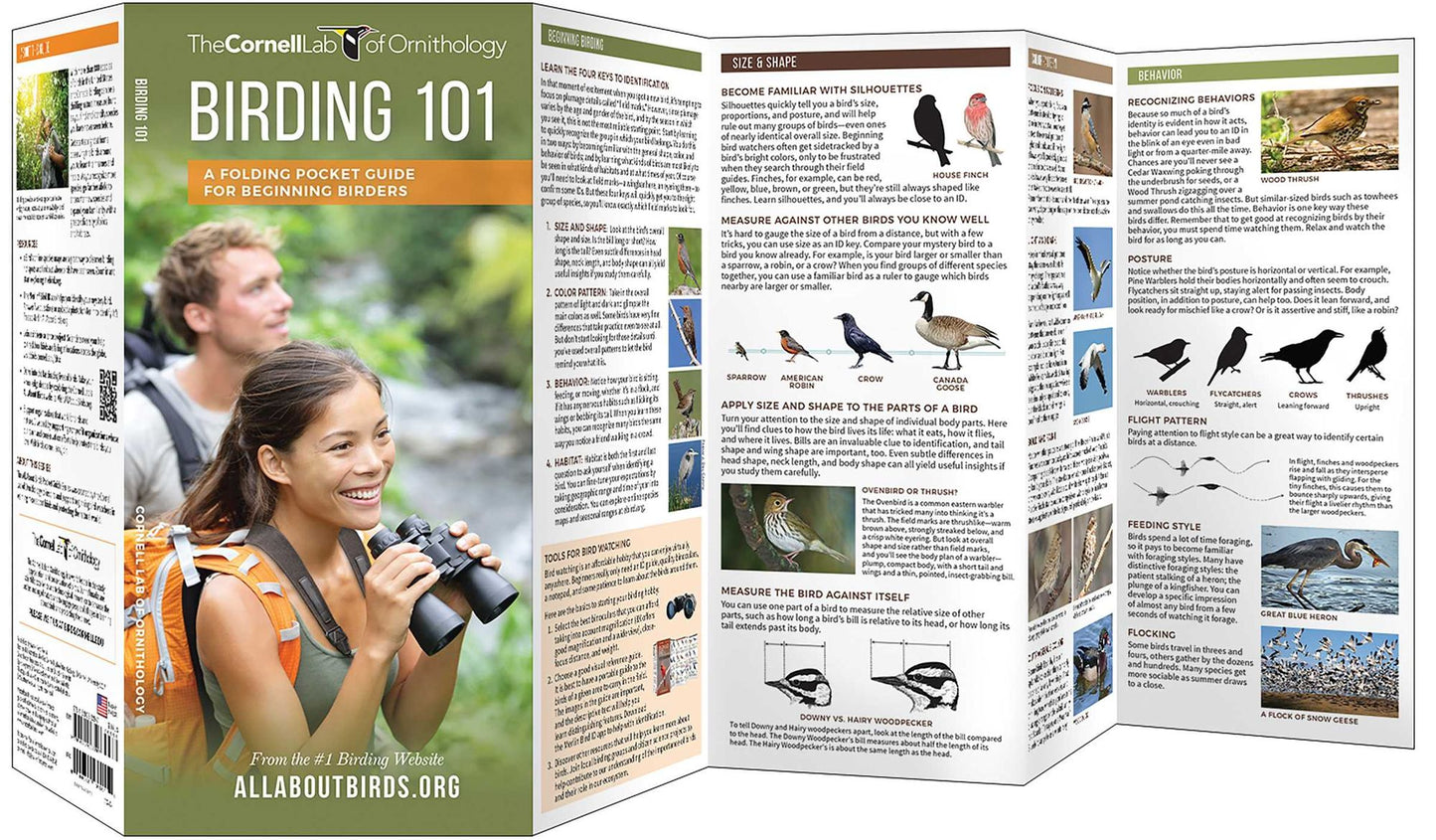 Birding 101: A Folding Pocket Guide for Beginning Birders